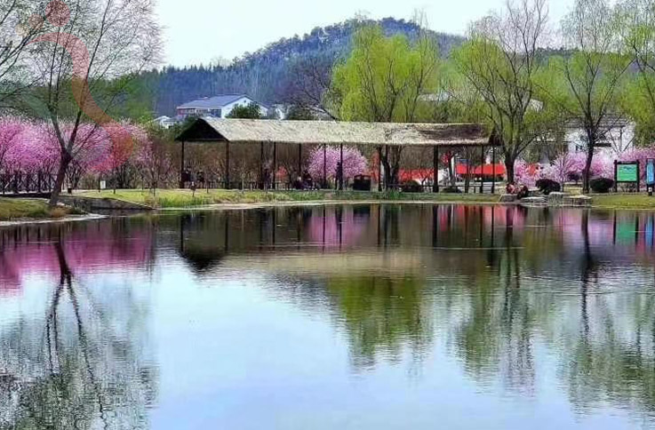 江苏南京江宁银杏湖乐园民宿-南京石塘人家有间客栈(高台路店) - 民宿介绍