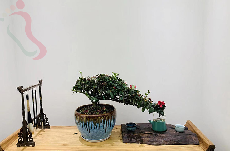 浙江宁波余姚四明湖景区民宿-花筑红树林民宿 - 图片1