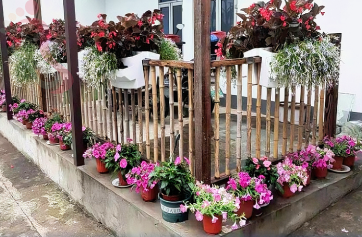 上海崇明舒凡农家民宿 - 图片2