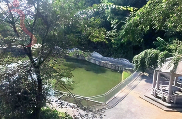  江苏无锡张山岭农家民宿 - 图片2