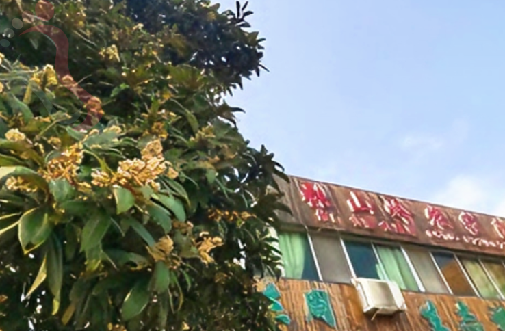  江苏无锡张山岭农家民宿 - 图片1