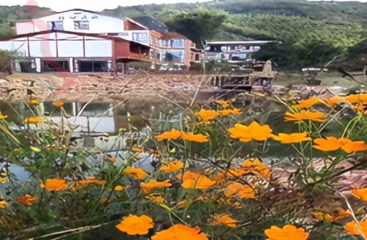 江苏无锡溪畔农莊水云间 - 图片3