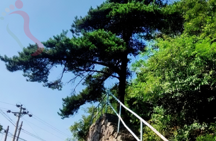 浙江杭州浙西大峡谷聚友家园农家民宿 - 周边游玩