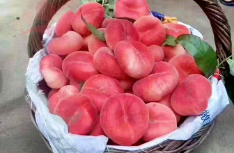 北京平谷挂甲峪小燕子农家院-平谷旅游挂甲峪景区平谷农家院挂甲峪民宿 - 图片2