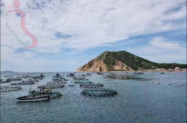 长岛大钦岛晚晴民宿-烟台蓬莱旅游长岛景区烟台民宿大钦岛渔家院民宿 - 周边游玩
