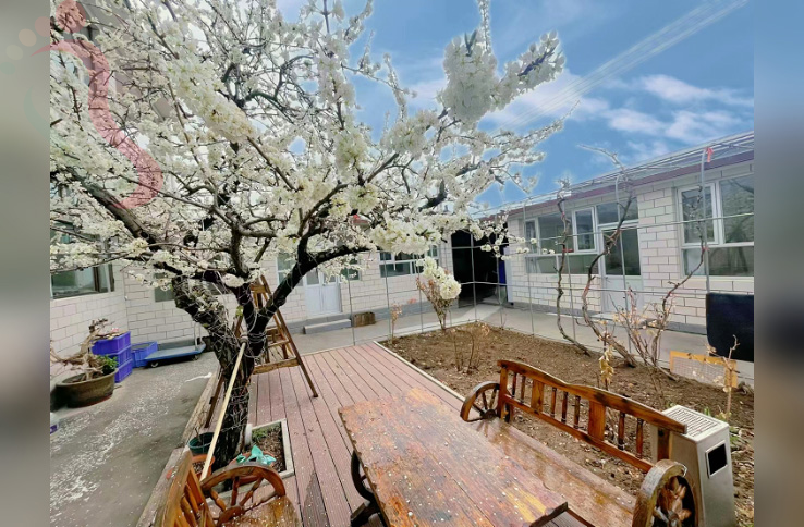 北京延庆民宿玉渡山张宽农家院-延庆旅游玉渡山景区延庆农家院玉渡山民宿 - 图片2