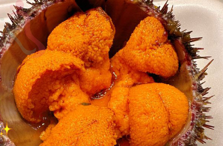 大连fiveinn·5号海宿设计师民宿 - 餐饮介绍