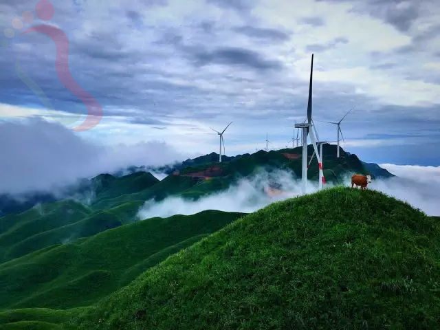 贵州毕节金沙县静雅居避暑山庄 - 图片1