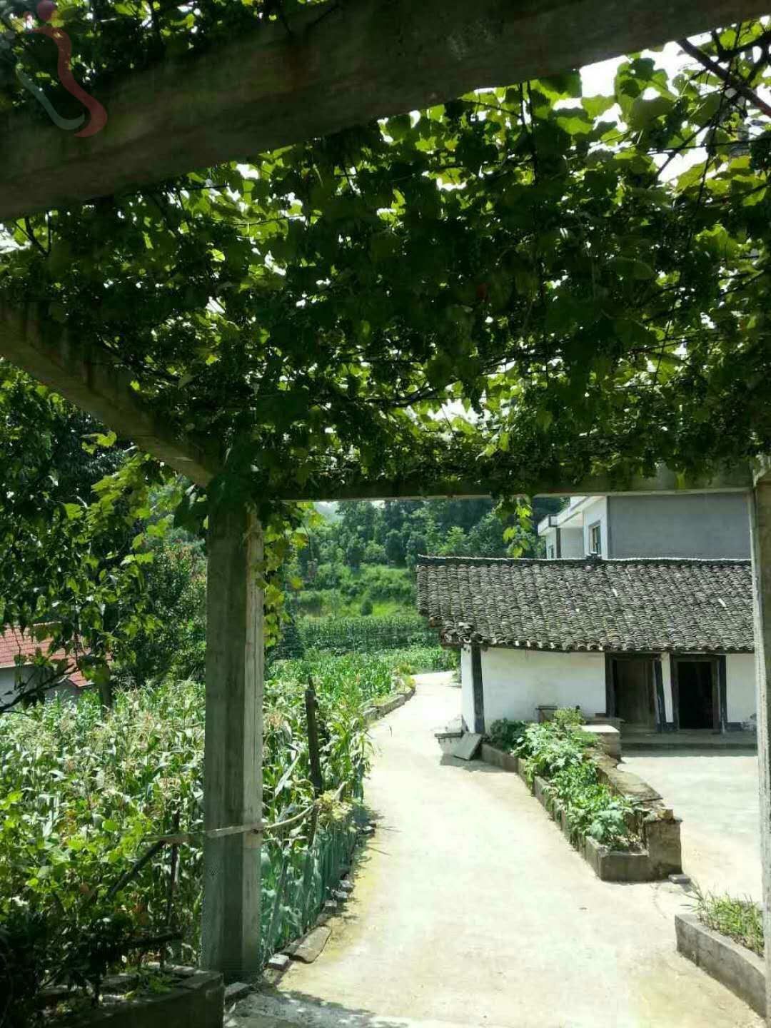 贵州毕节金沙县静雅居避暑山庄 - 民宿介绍