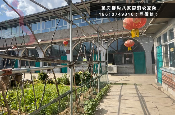 延庆柳沟八家窑洞农家院|京郊游延庆旅游柳沟民宿陕北窑洞风农家乐