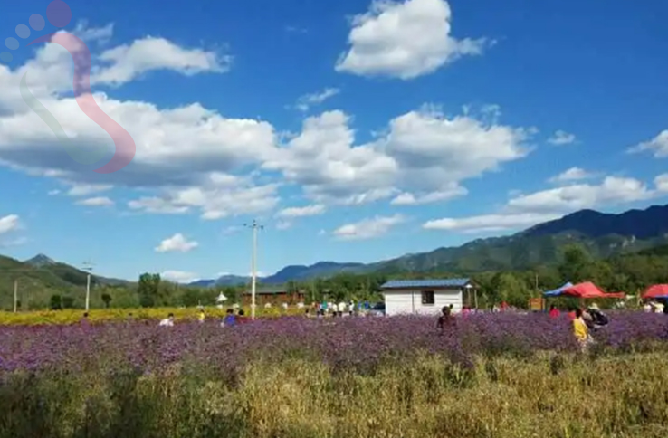 延庆柳沟八家窑洞农家院|京郊游延庆旅游柳沟民宿陕北窑洞风农家乐 - 图片7