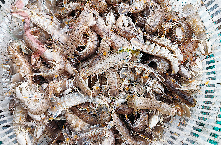 大连长海县广鹿岛爱丽渔家民宿｜海岛游长海旅游大连海岛住宿-民宿汇 - 图片4