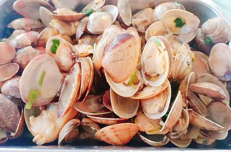 觉华岛踏莎行渔家小筑|辽宁葫芦岛旅游兴城民宿觉华岛渔家院-民宿汇 - 图片7