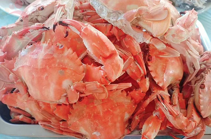 觉华岛踏莎行渔家小筑|辽宁葫芦岛旅游兴城民宿觉华岛渔家院-民宿汇 - 图片8