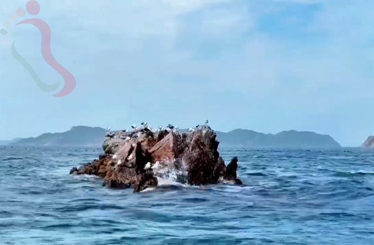 南隍城岛闲来小筑渔家乐馆民宿｜山东烟台旅游长岛南隍城岛旅游-民宿汇 - 周边游玩
