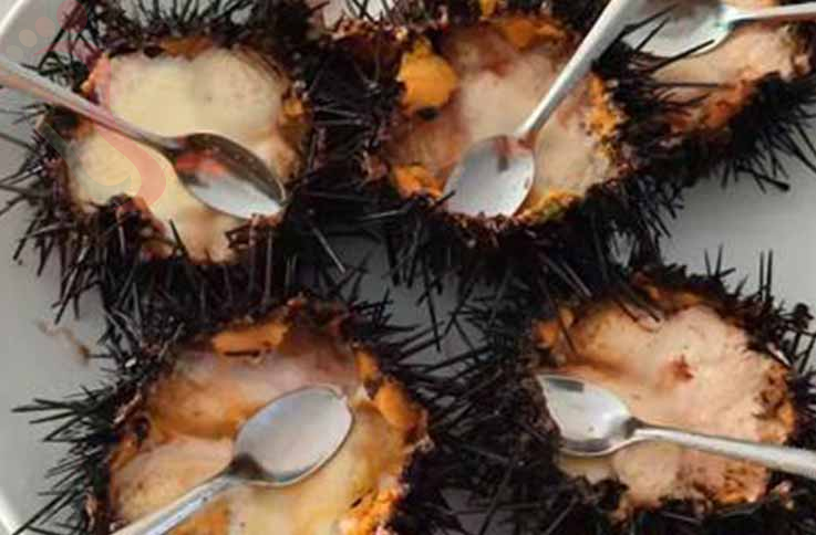 大连獐子岛亿丰渔家乐旅馆 - 图片3