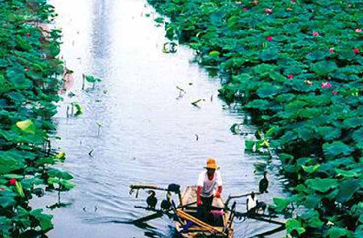 河北省保定市安新县白洋淀望月岛16号院 - 图片4