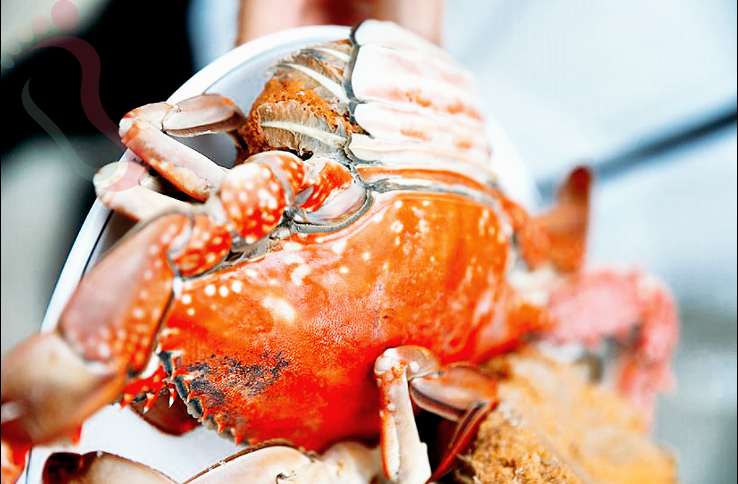 哈仙岛仙客来渔家酒店｜辽宁大连旅游长海长岛大长山岛哈仙岛优质住宿 - 图片7