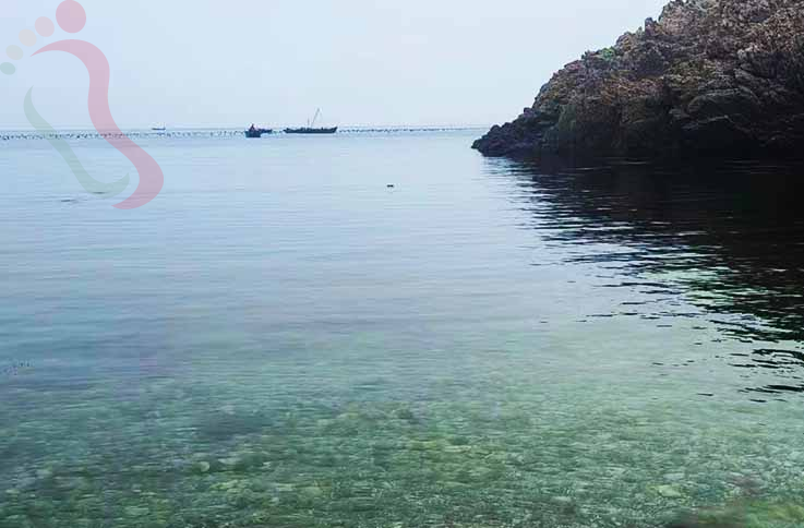 山东烟台蓬莱南隍城岛云云渔家 - 图片7