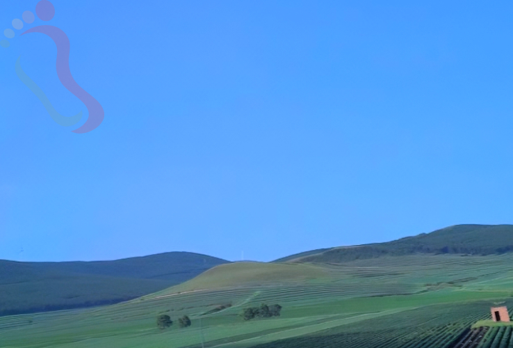 张家口云瑞山庄 - 图片8