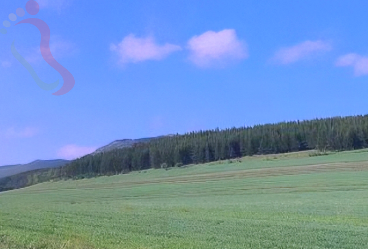 张家口云瑞山庄 - 图片7