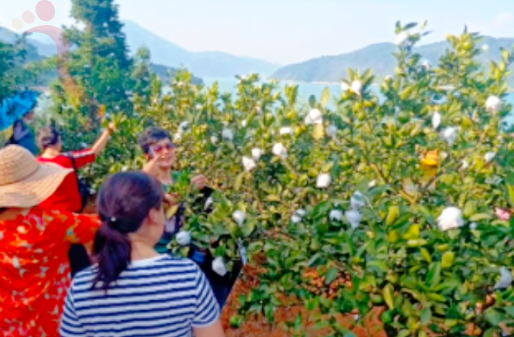 东江湖方舟生态农庄|湖南郴州旅游t团建游生态游好去处-民宿汇 - 图片12