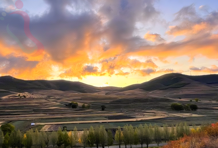 张家口七号农家院 - 图片8