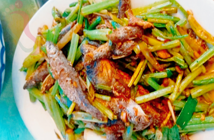 东江湖方舟生态农庄|湖南郴州旅游t团建游生态游好去处-民宿汇 - 图片10