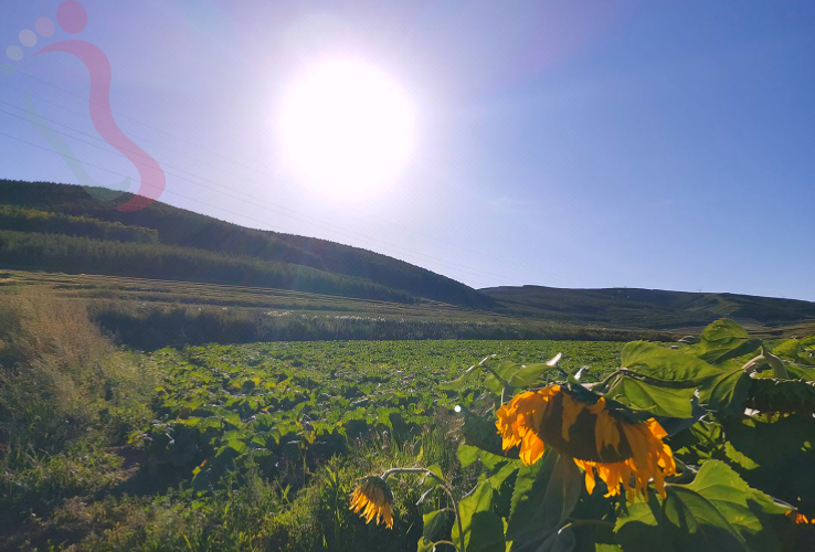 张家口云瑞山庄 - 图片6