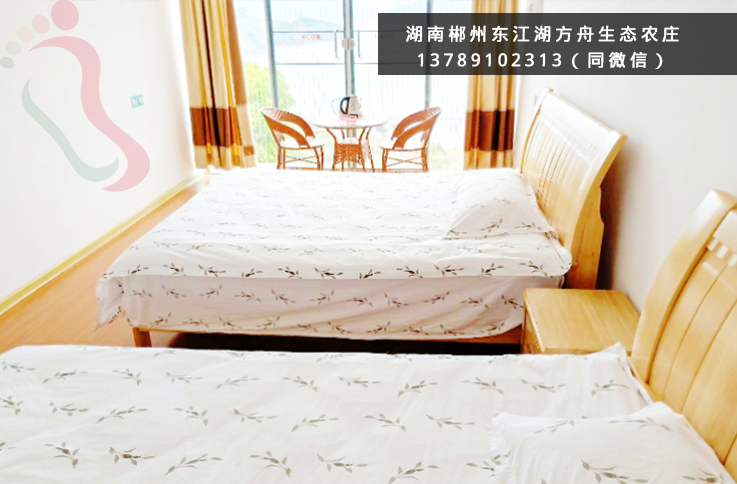 东江湖方舟生态农庄|湖南郴州旅游t团建游生态游好去处-民宿汇