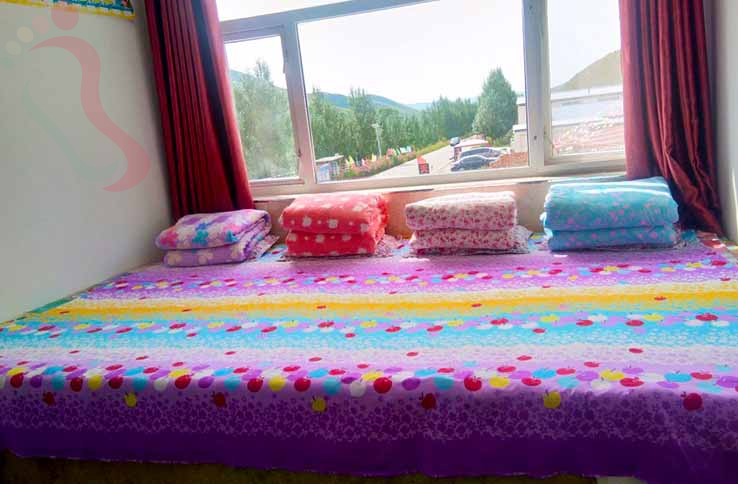 张家口草原天路桦皮岭马大姐农家乐房间图片4