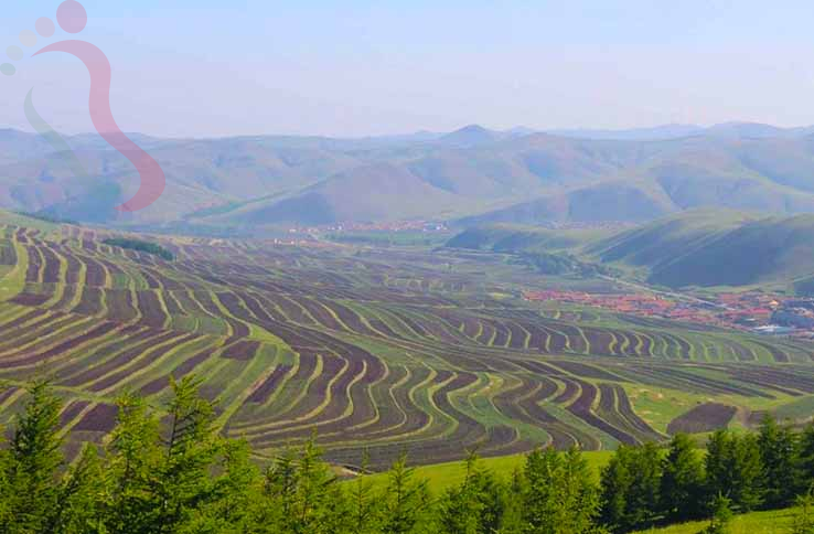 张北坝上刘老弟农庄 - 图片8