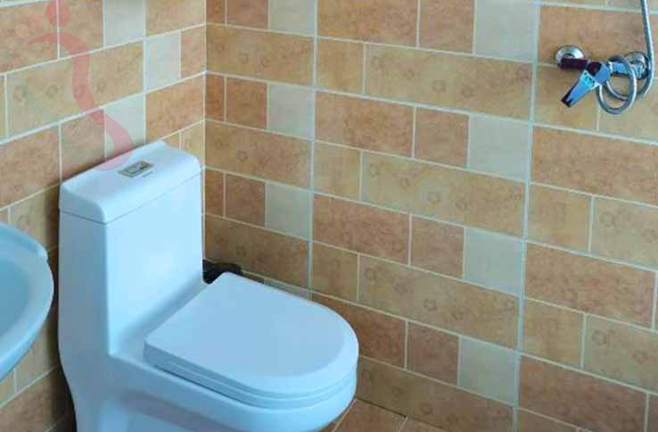 张北阿忠假日农庄 - 图片5