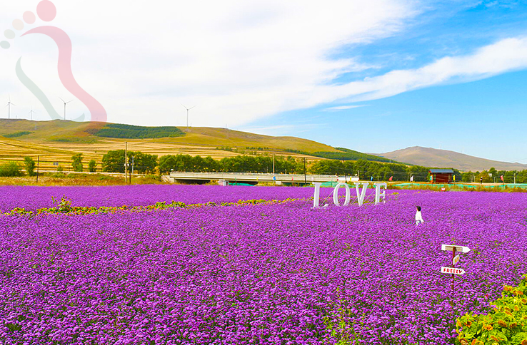 张北阿忠假日农庄 - 图片7