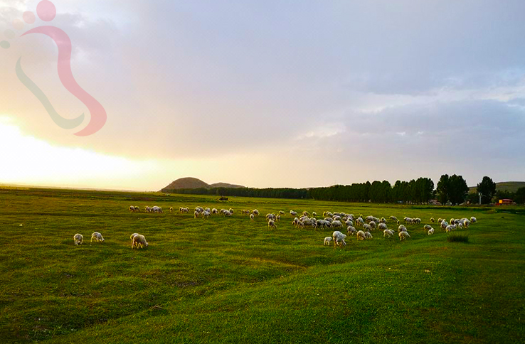 张北村煌农家院 - 图片8