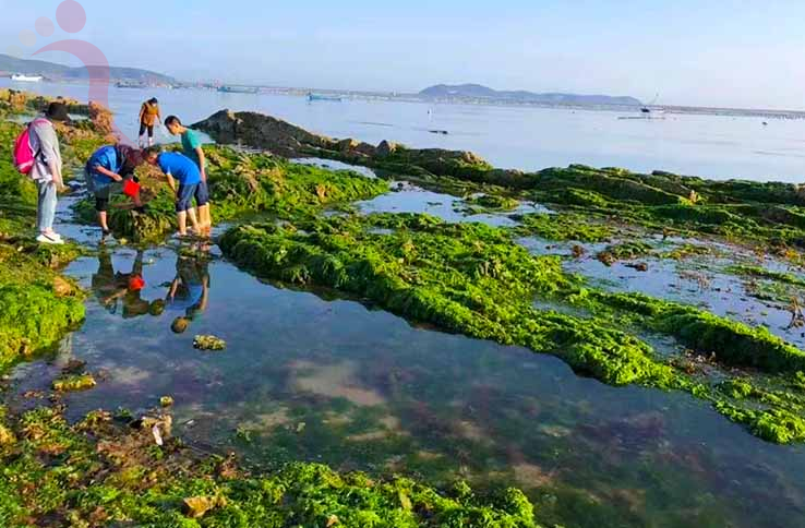 大长山岛瑞海山庄渔家|辽宁大连长海民宿大长山岛农家院大连渔家院-民宿汇 - 图片11