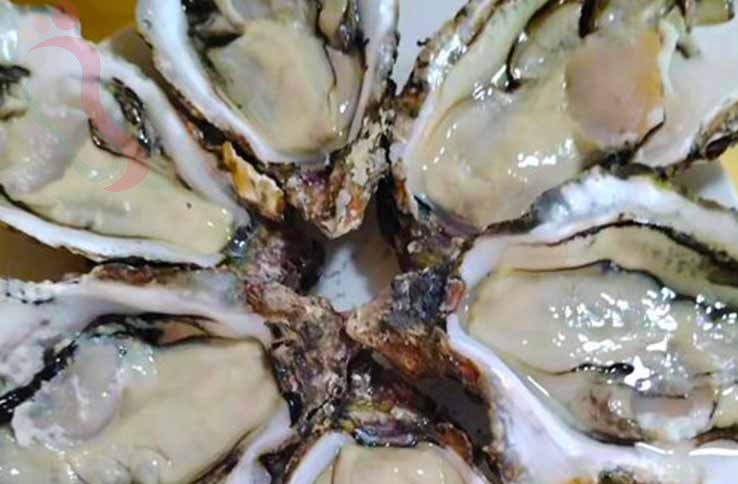 大长山岛瑞海山庄渔家|辽宁大连长海民宿大长山岛农家院大连渔家院-民宿汇 - 图片3