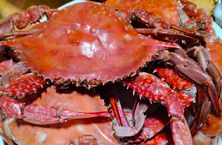 大长山岛瑞海山庄渔家|辽宁大连长海民宿大长山岛农家院大连渔家院-民宿汇 - 图片4