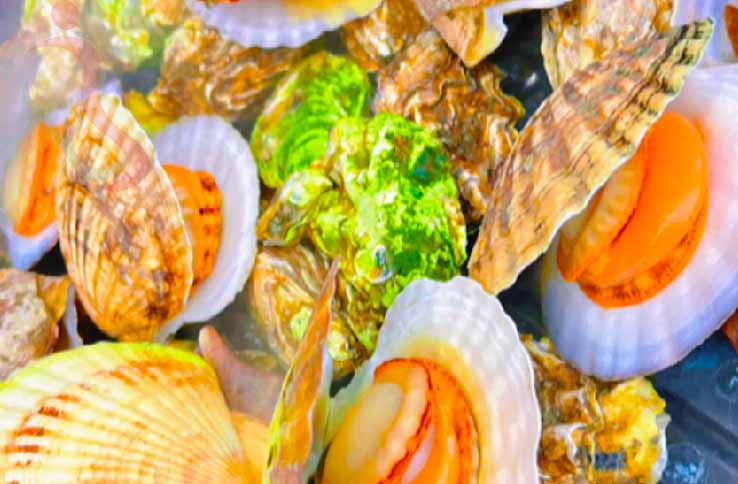 獐子岛福满渔家民宿 - 图片4