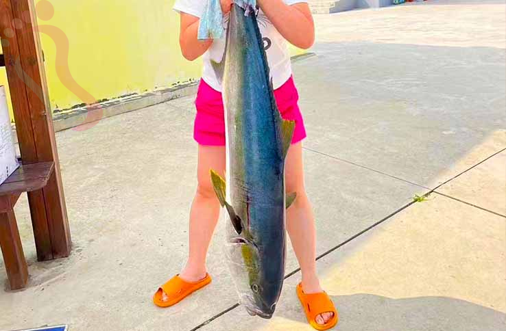 獐子岛福满渔家民宿 - 图片8