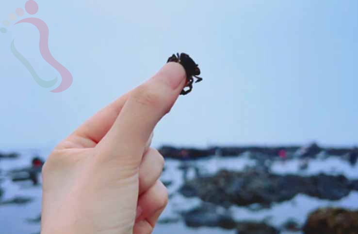 山东烟台蓬莱区长岛县北隍城乡山后村北隍城岛水清渔家院-烟台旅游长岛北隍城岛渔家院民宿-民宿汇 - 图片12