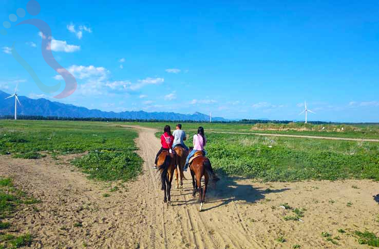 怀来老六农家院 - 图片6