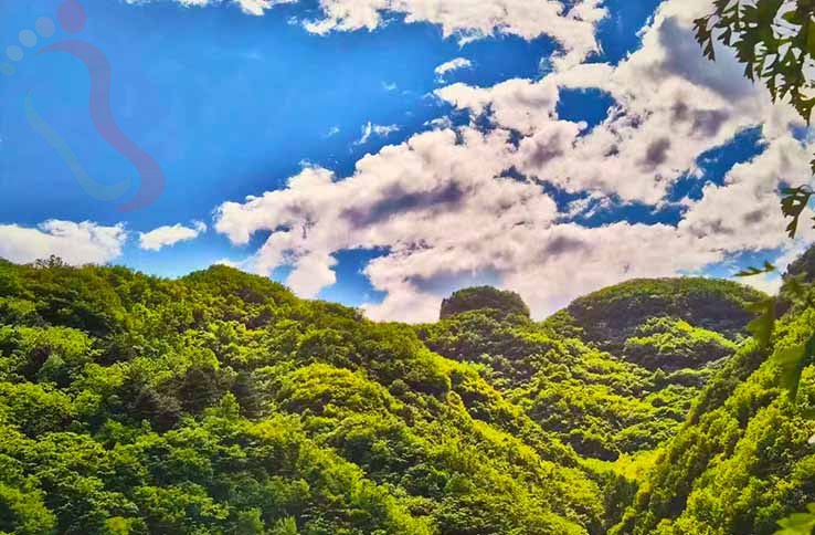 兴隆山那边农家院|承德旅游观花海兴隆养生农家院-民宿汇 - 图片15