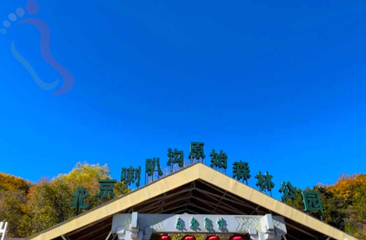 喇叭沟门枫林阁民宿-京郊游北京旅游优选喇叭沟门精品民宿枫林阁民宿 - 周边游玩