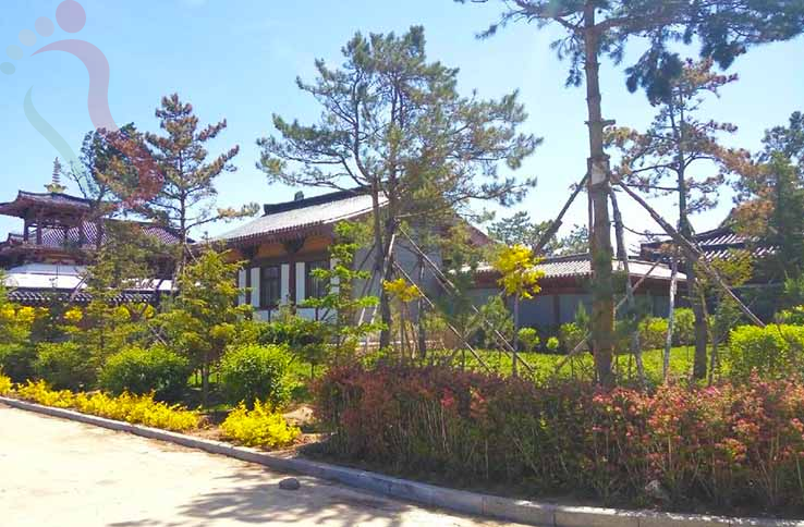 张北虹锦农家院 - 图片2