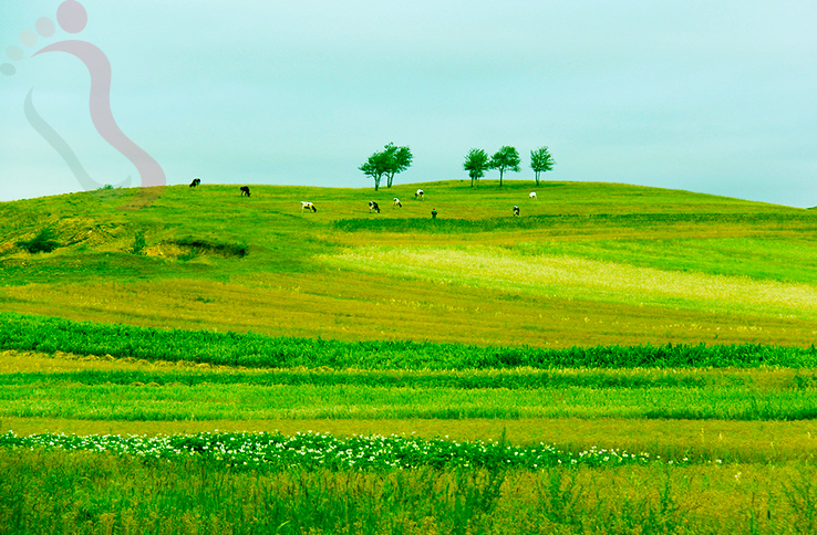 梦筑农家院 - 图片7
