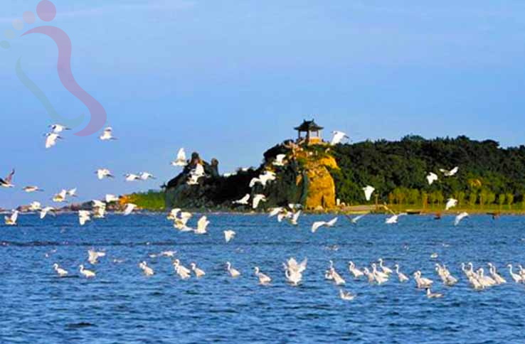 北戴河杨秀茹旅馆 - 图片7