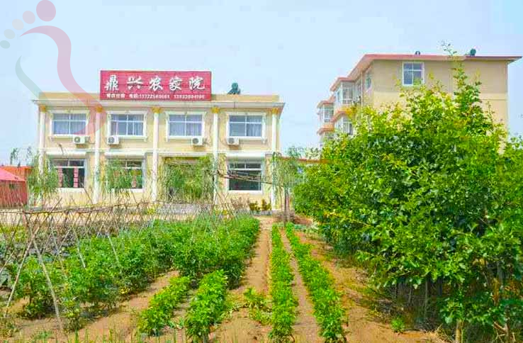 昌黎鼎兴农家院 - 图片1