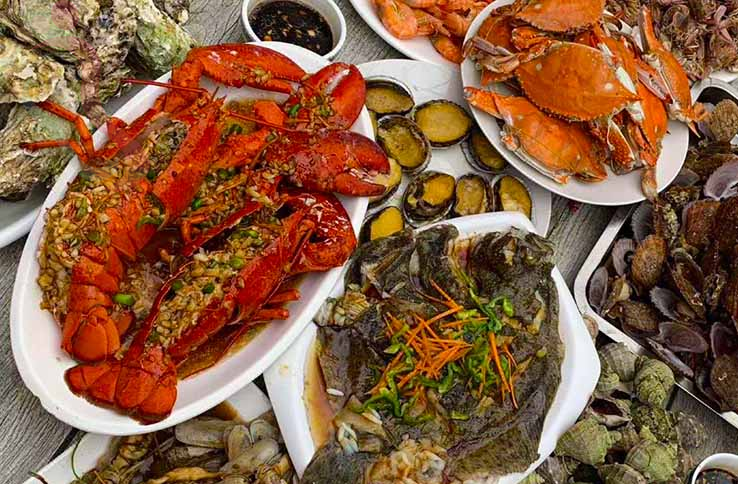 昌黎华雅农家院 - 图片4