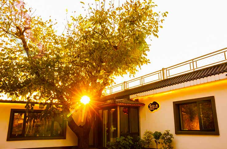 天津洪湾人家农家院 - 图片2